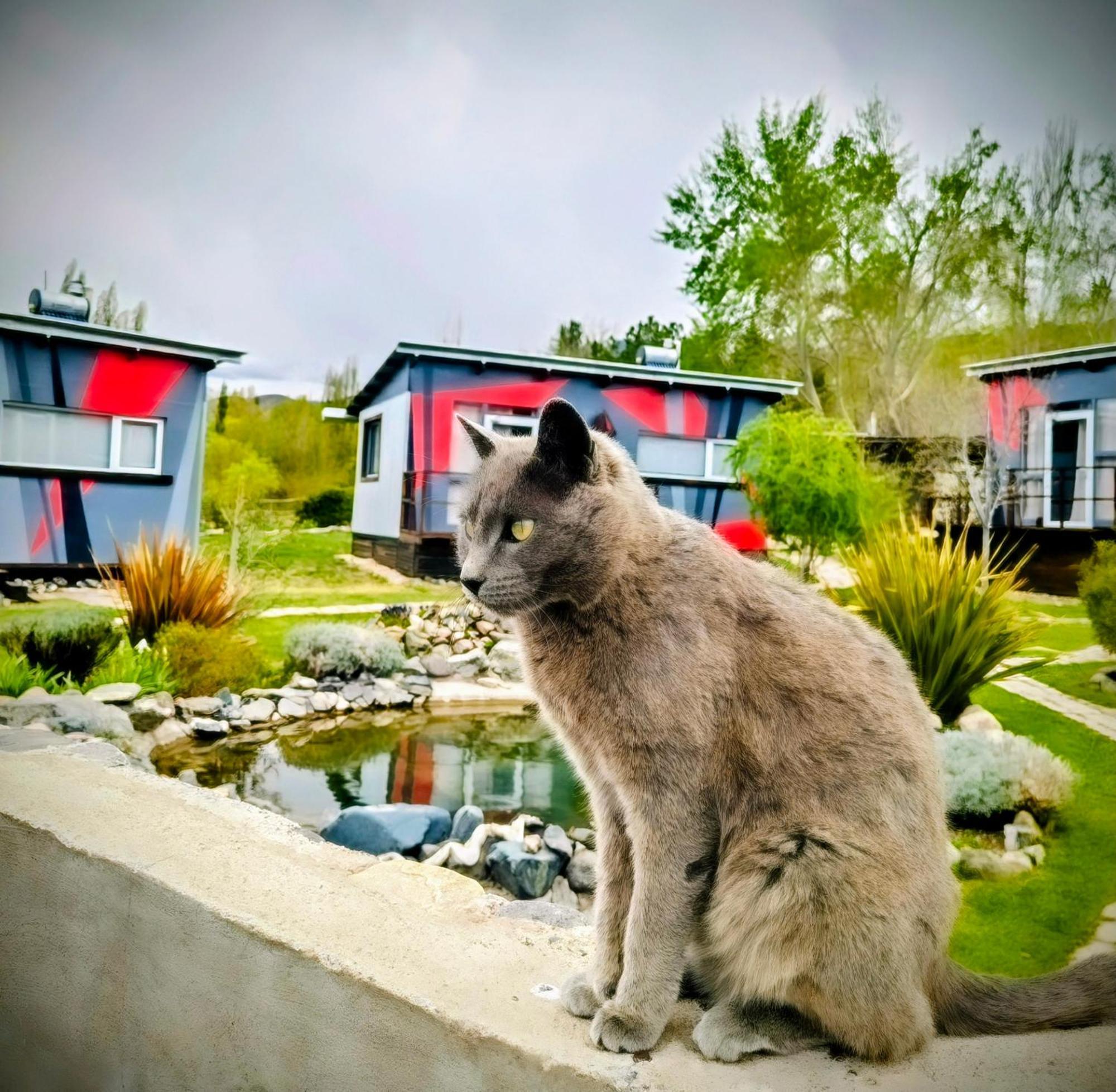 Casa Faro Arte Villa โปเตรริโญส ภายนอก รูปภาพ