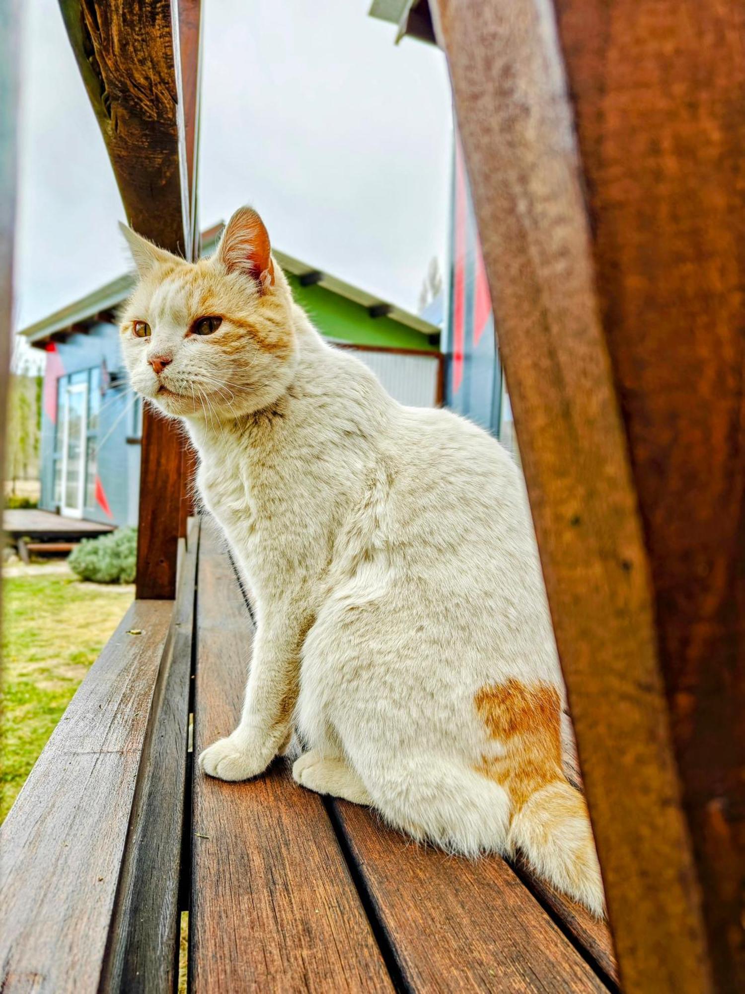 Casa Faro Arte Villa โปเตรริโญส ภายนอก รูปภาพ